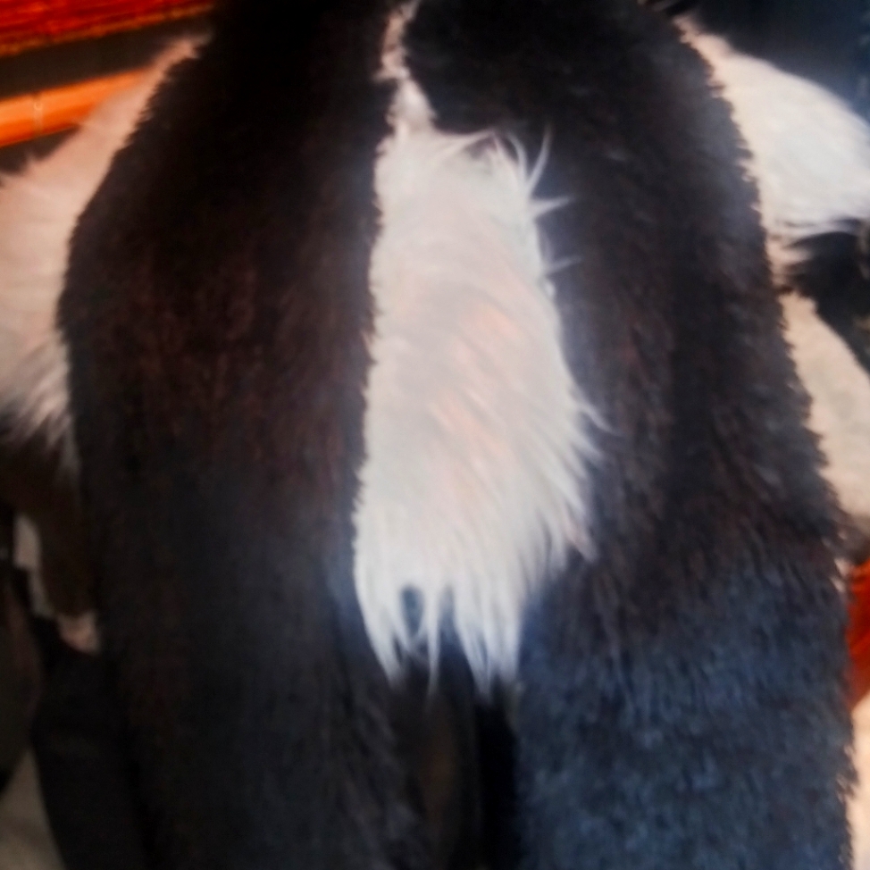 Warm Cozy Black Faux Fur Scarf